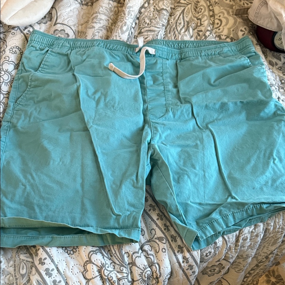 Goodfellow & Co Men's Flat Front Shorts in Aqua